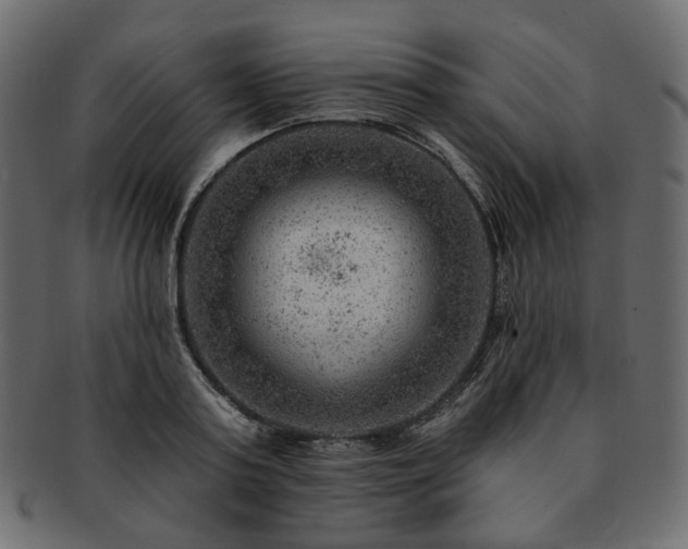 X0000093210795200710031419