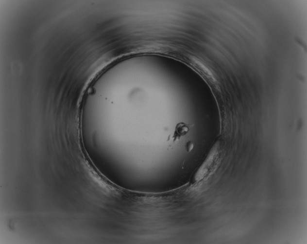 X0000093210800200710031419