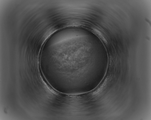 X0000093210802200710031419