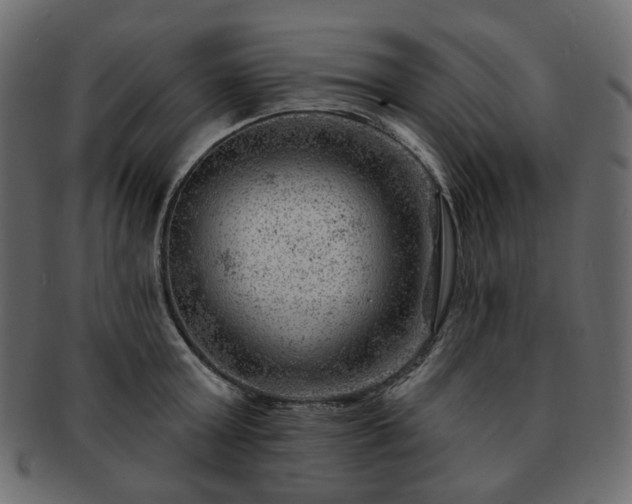 X0000093210803200710031419