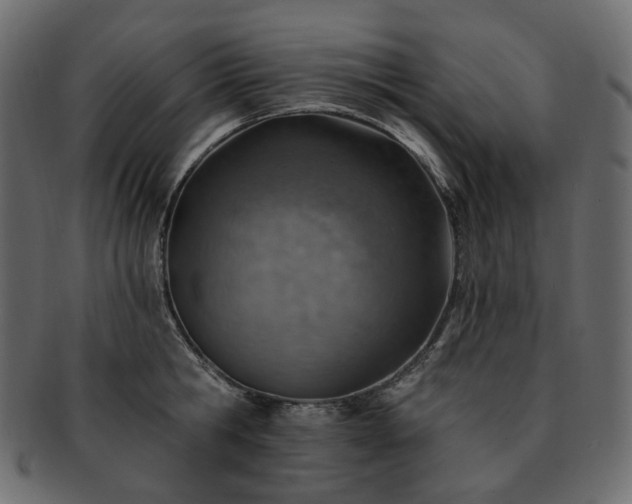 X0000093210806200710031419