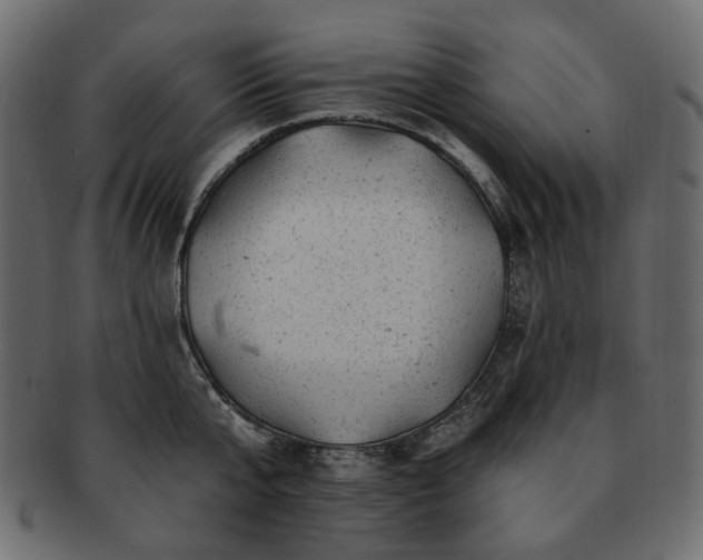 X0000093210807200710031419