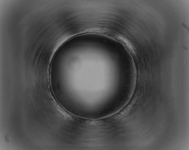 X0000093210808200710031419