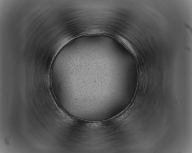 X0000093210810200710031419