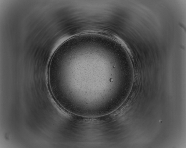 X0000093210811200710031419