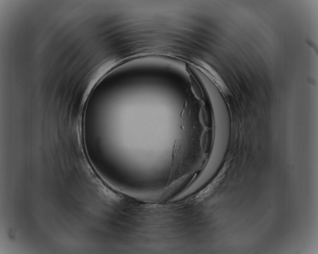 X0000093210812200710031419