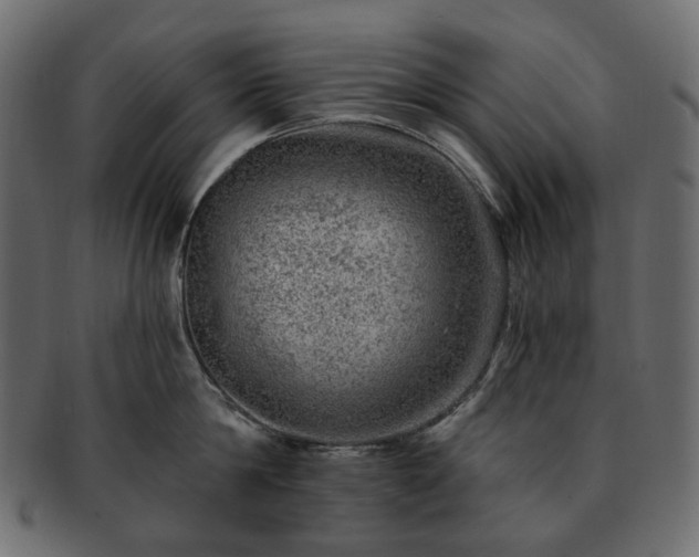 X0000093210814200710031419