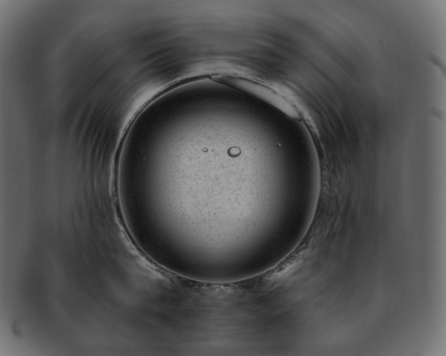 X0000093210815200710031419