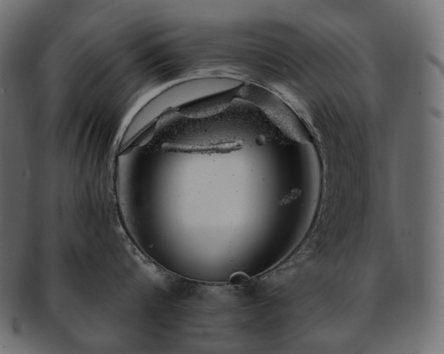 X0000093210816200710031419