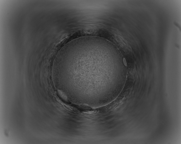 X0000093210817200710031418