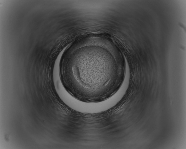 X0000093210818200710031418