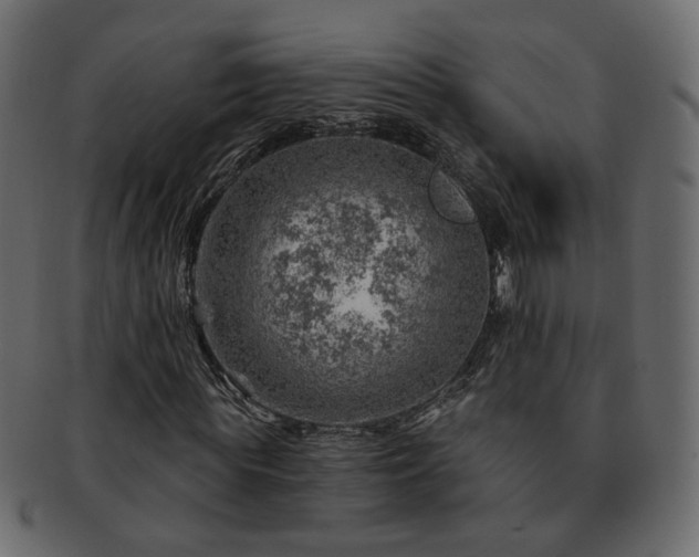 X0000093210819200710031418