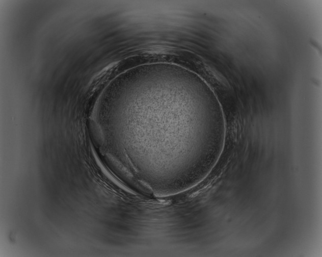 X0000093210821200710031418