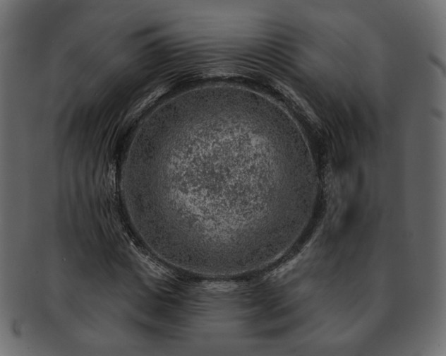 X0000093210825200710031419