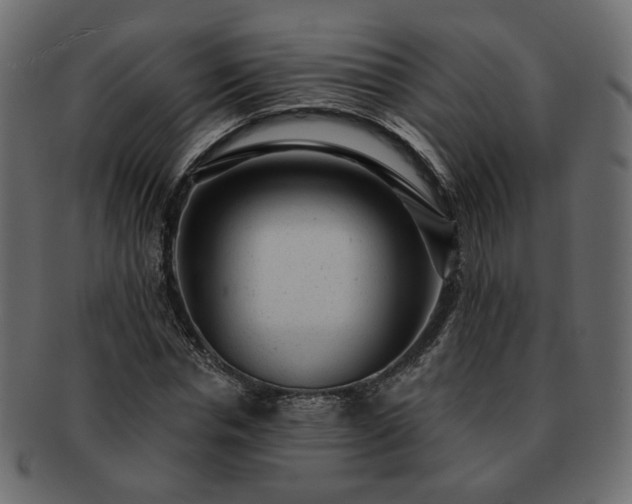 X0000093210826200710031419