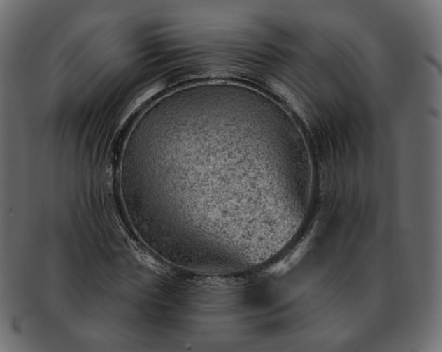 X0000093210827200710031419