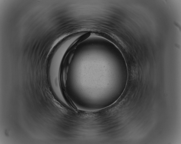 X0000093210830200710031419