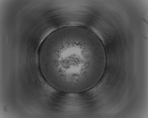 X0000093210835200710031419