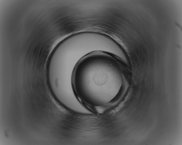 X0000093210838200710031419