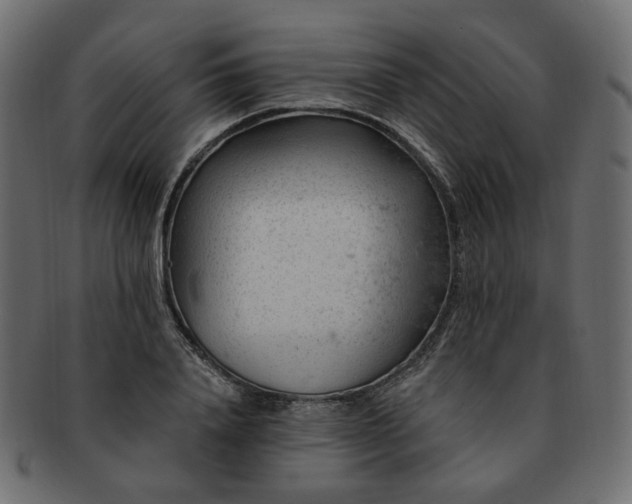 X0000093210840200710031419