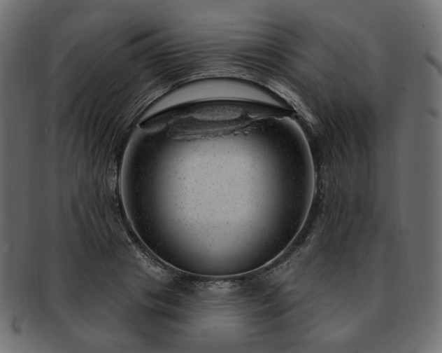 X0000093210841200710031419