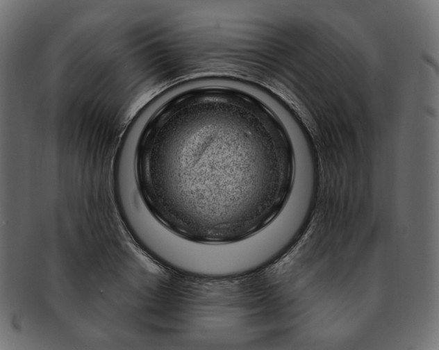 X0000093210842200710031419