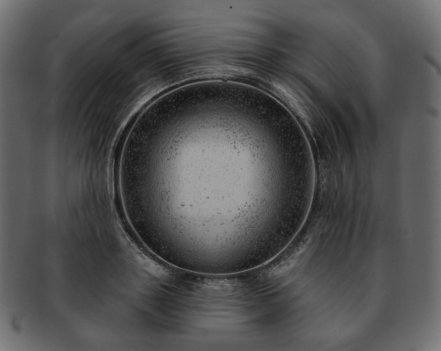 X0000093210843200710031419