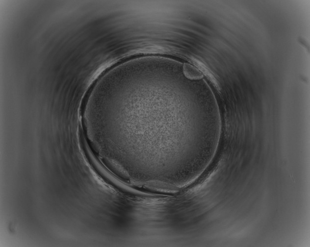 X0000093210845200710031419