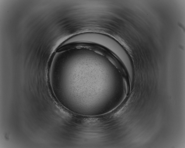 X0000093210846200710031419