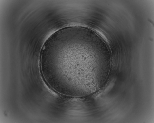 X0000093210847200710031419