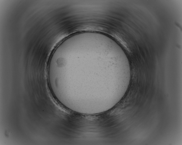 X0000093210848200710031419