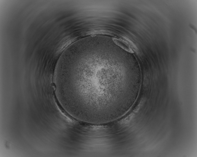 X0000093210849200710031419