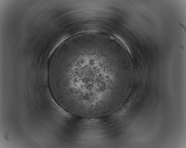 X0000093210851200710031419