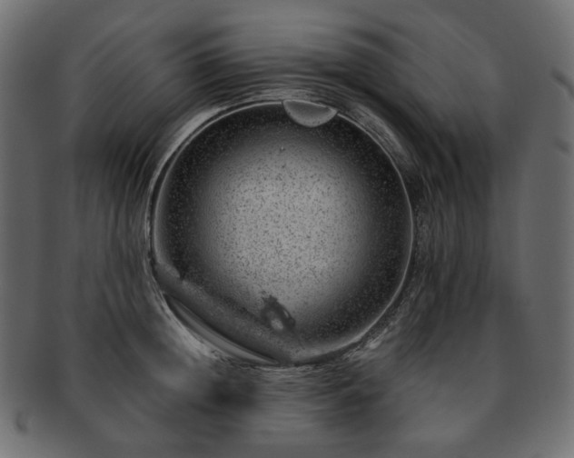 X0000093210852200710031419