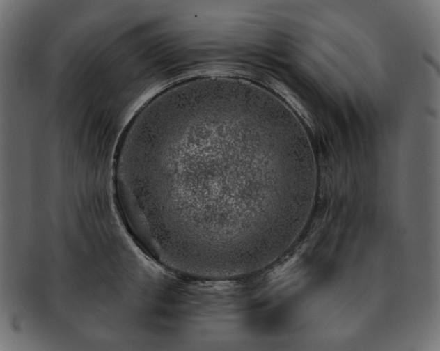 X0000093210853200710031419