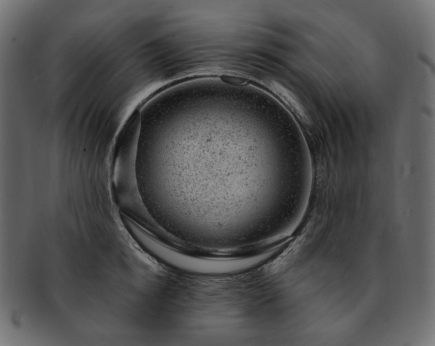 X0000093210854200710031419