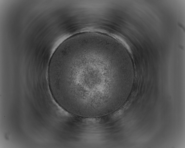 X0000093210855200710031419