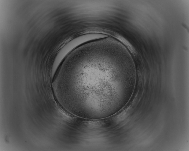 X0000093210857200710031419