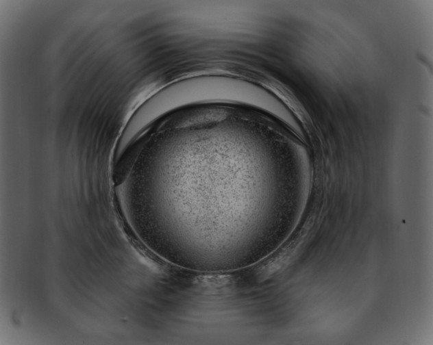 X0000093210858200710031419