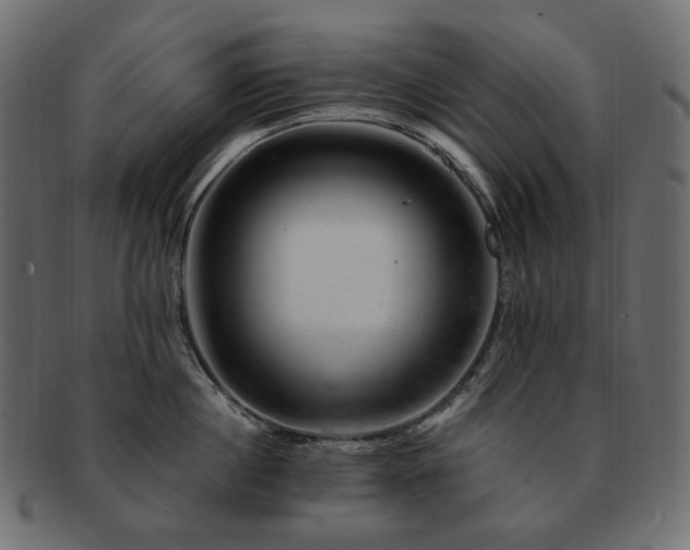 X0000093210860200710031419