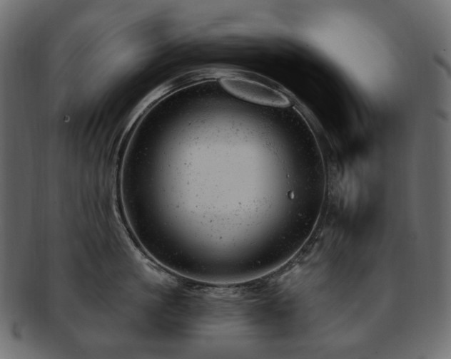 X0000093210861200710031419