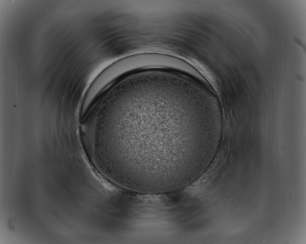 X0000093210862200710031419