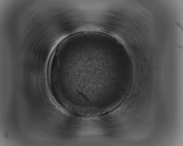 X0000093210864200710031419