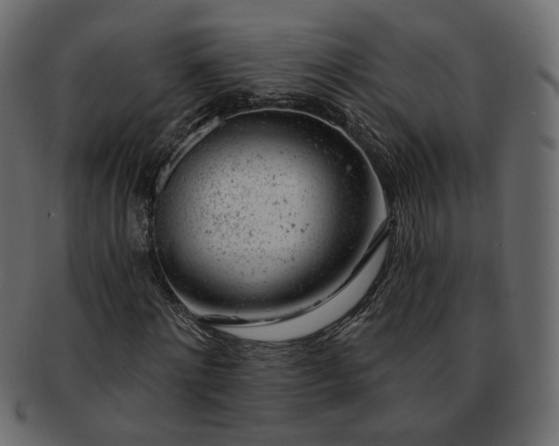 X0000093210868200710031418