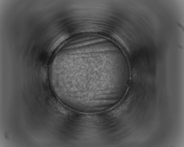 X0000093210874200710031418