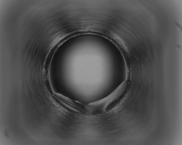 X0000093210876200710031418