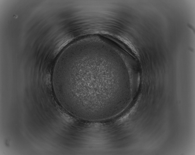 X0000093210881200710031418