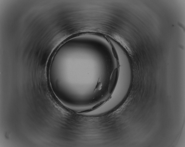 X0000093210884200710031418