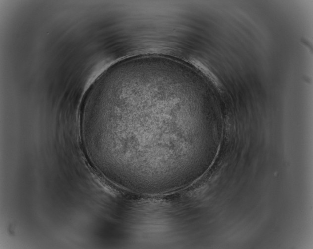 X0000093210886200710031418