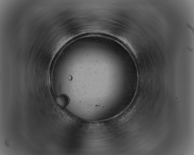 X0000093210887200710031418